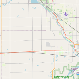 Saginaw Zip Code Map Support Groups - Saginaw